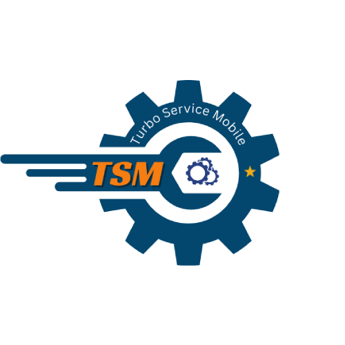 TSM-Pro 3 Months Activation (Instant)